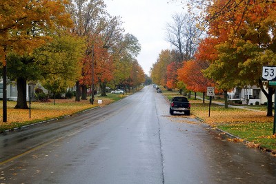 All the leaves are brown