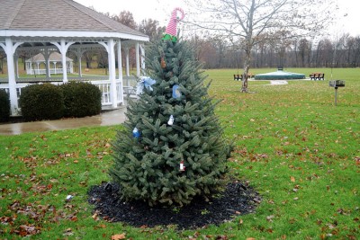 The Upper Tree is back