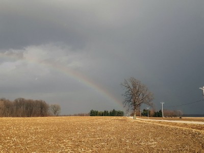 Find the pot of gold