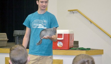 Fluffiest fur featured