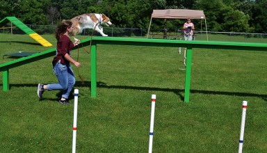 Agility course