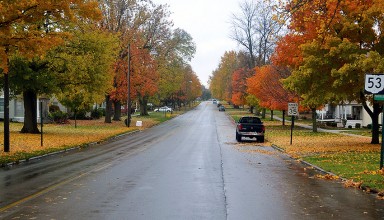 All the leaves are brown