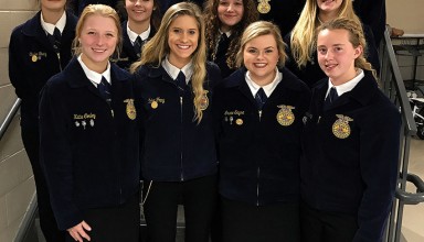 Job interview contestants