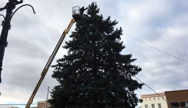 Elevated decorations