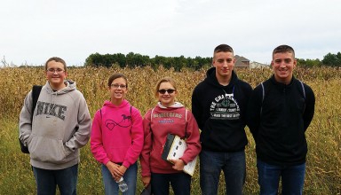 District urban soils