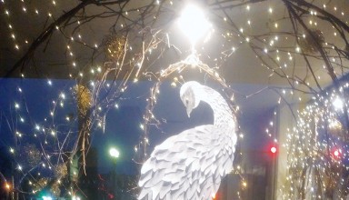 Winning window featured