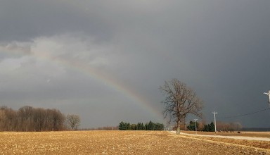 Find the pot of gold