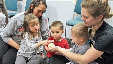 Look at all those chickens