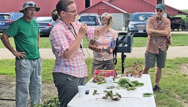 Crop Walk 2018