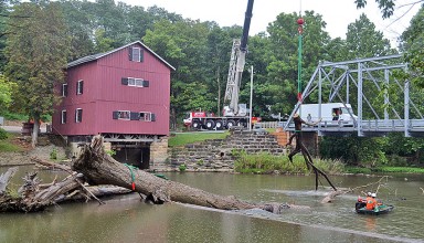 Removing the dam tree