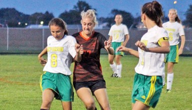 Fight for it featured