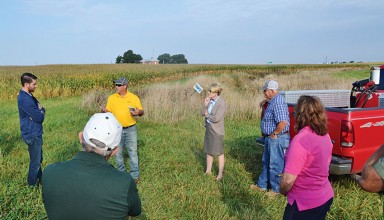 Filter strips explained